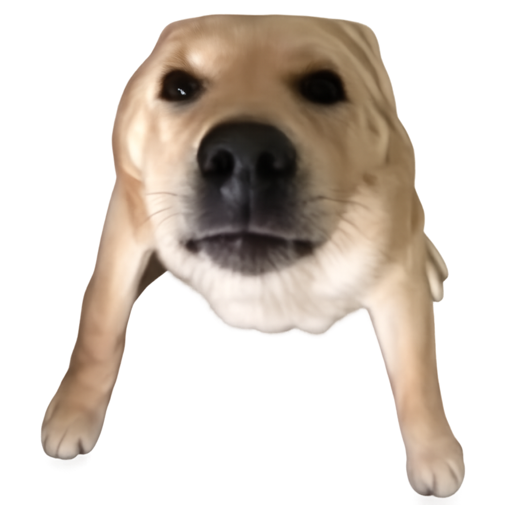 大狗